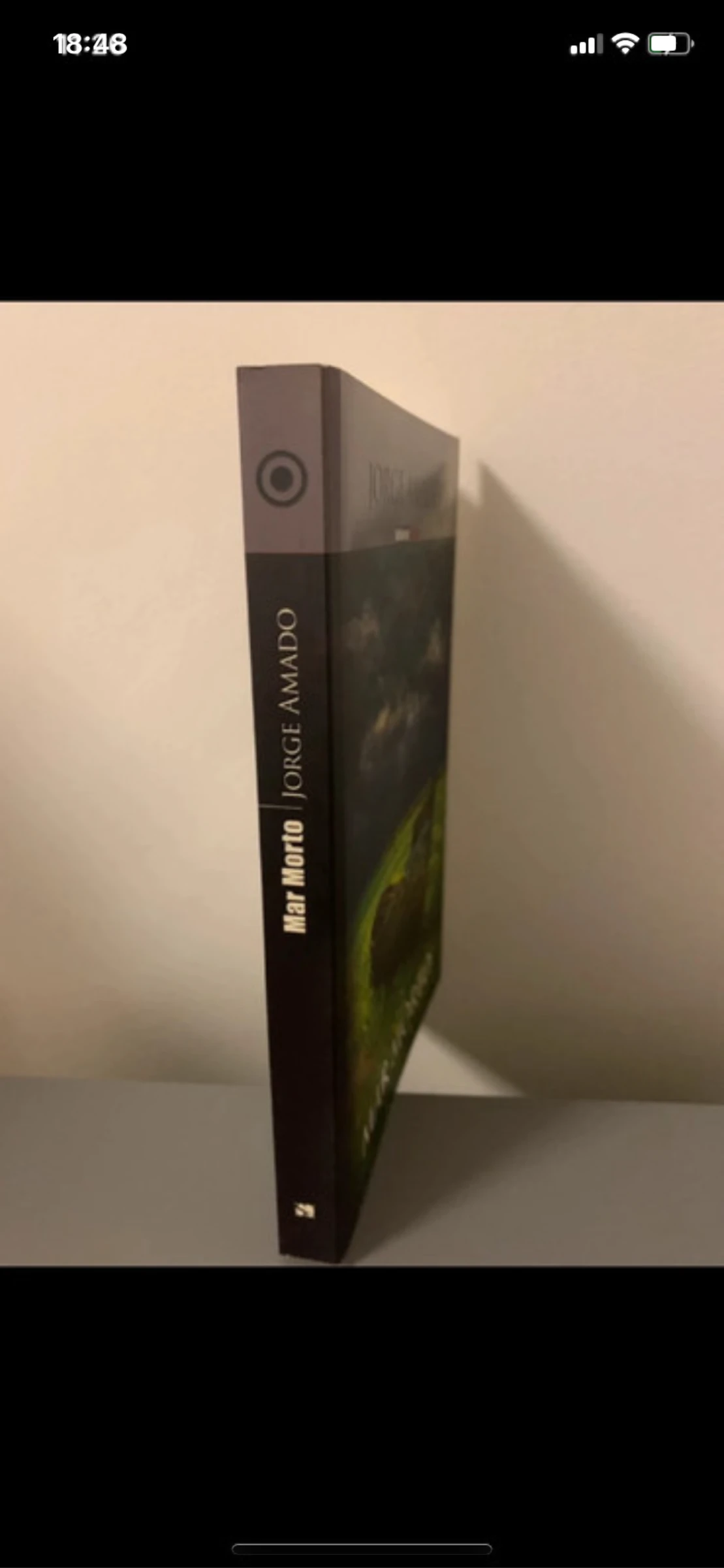 Livro : Mar Morto – photo 2